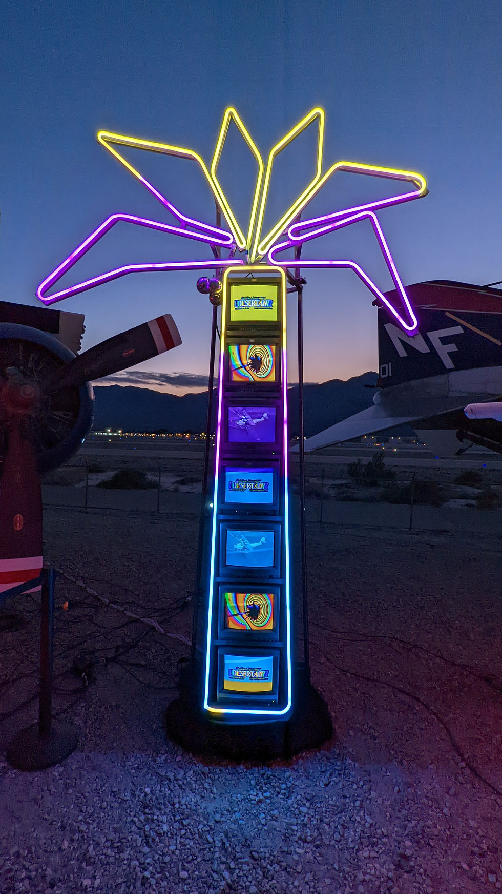 Thumbnail: Palm Tree Installation