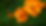 website background images.png