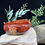 Thumbnail: Carnelian Polished Decorative Bowl