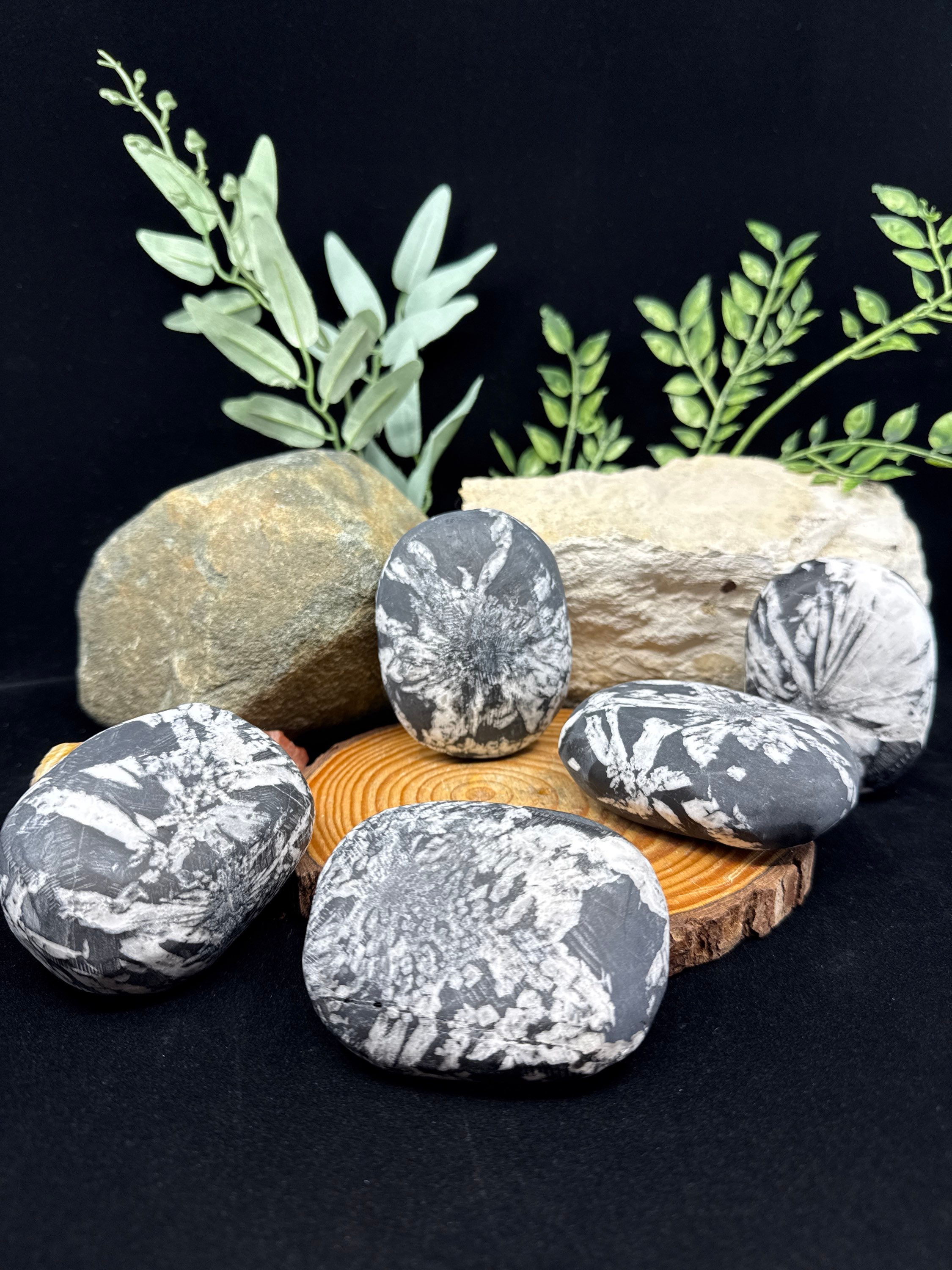 Chrysanthemum Stone - Palm Stone
