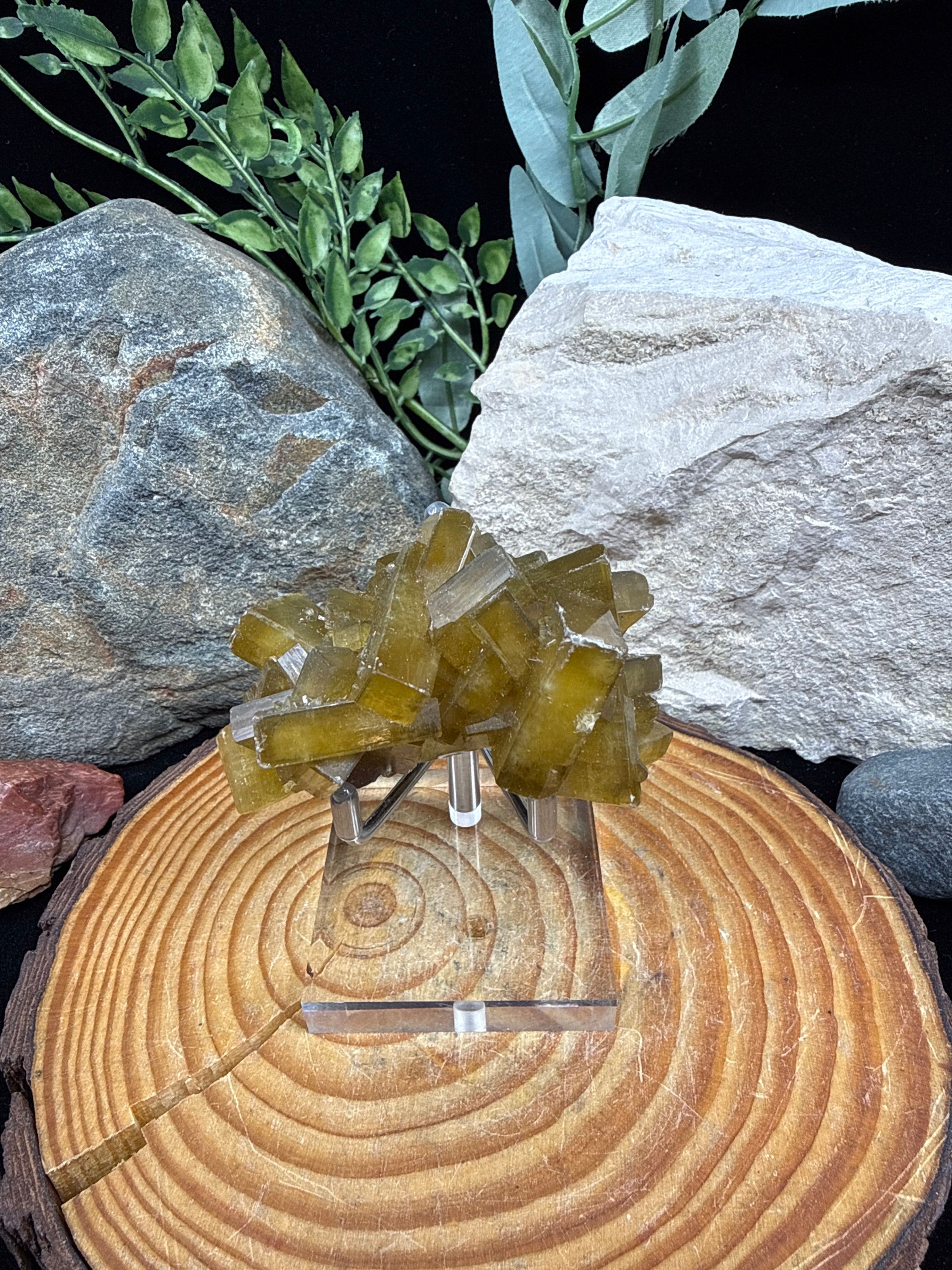 Golden Barite on Black Botryoidal Fluorite Matrix - 6