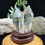 Thumbnail: Clear Quartz Polished Double Point with Custom Stand