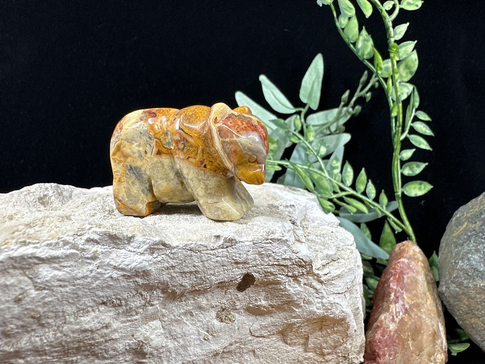 Crazy Lace Agate Bear