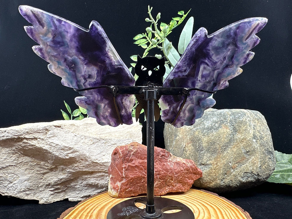 Thumbnail: Fluorite Owl Wings with Black Metal Owl Stand