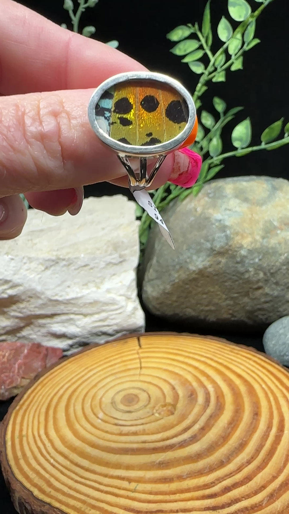 Thumbnail: Sunset Moth Wing Oval Sterling Silver Ring - Size 8