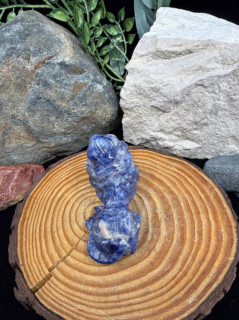 Thumbnail: Sodalite Laying Lion