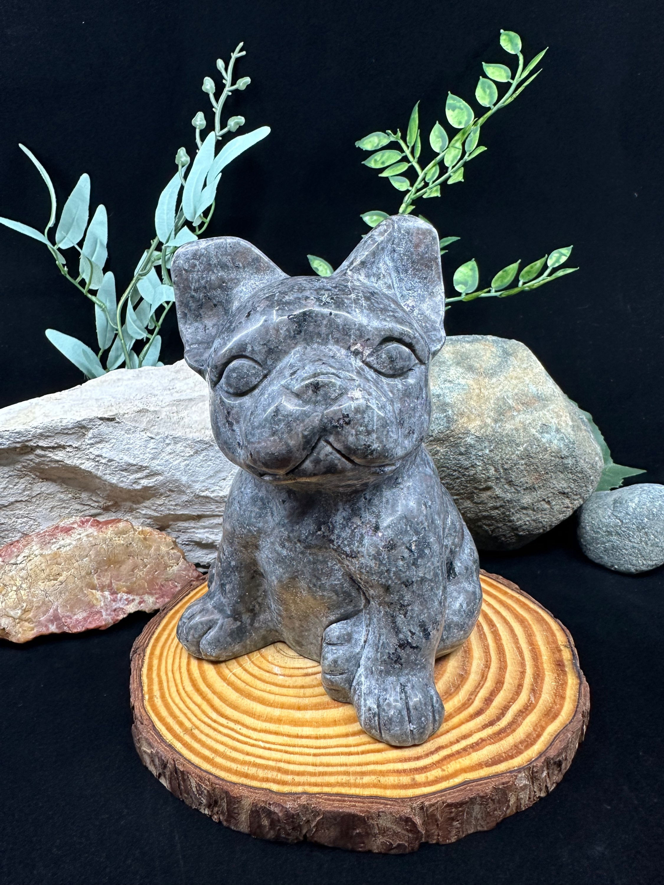 Yooperlite French Bulldog