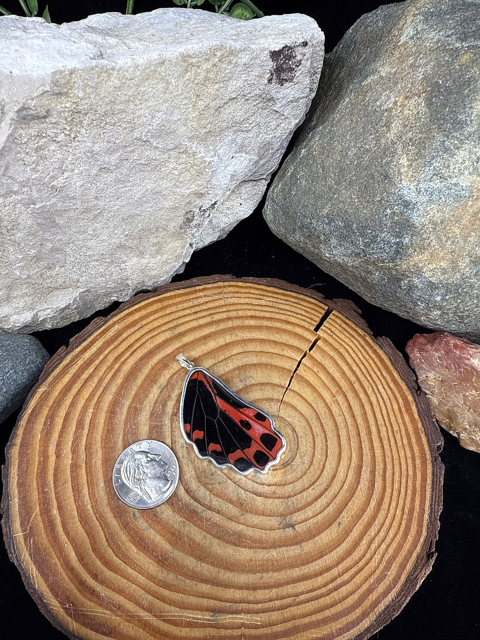 Thumbnail: Scarlet Moth Wing Sterling Silver Pendant