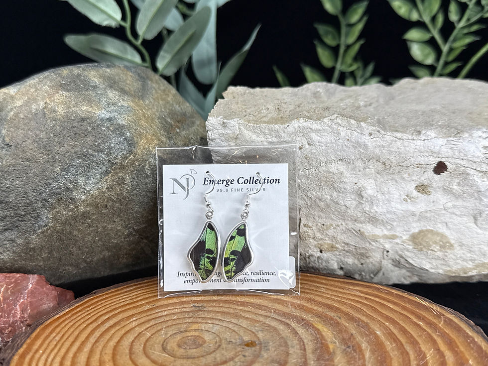 Sunset Moth Sterling Silver Earrings - 1