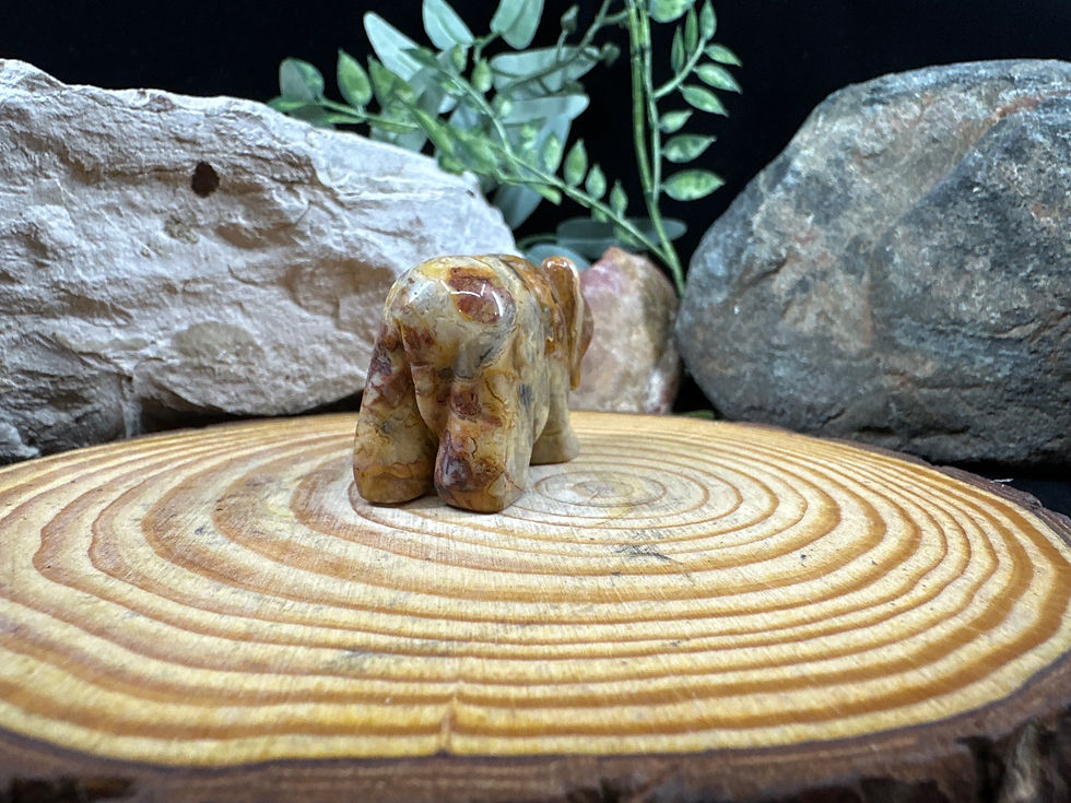 Thumbnail: Crazy Lace Agate Bear