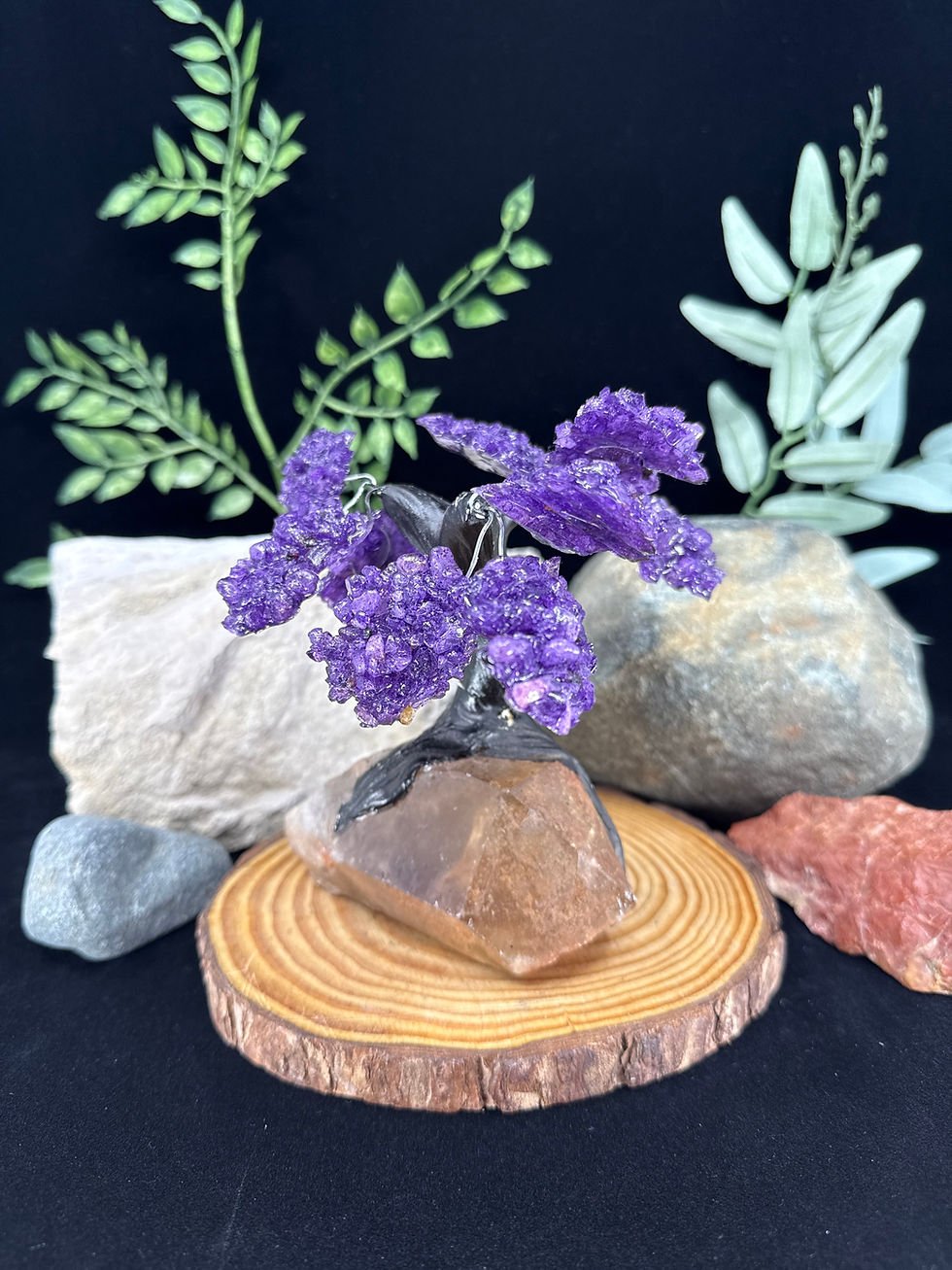 Thumbnail: Medium  Clustered Amethyst Crystal Tree on Quartz Base - 3