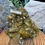 Thumbnail: Golden Barite on Black Botryoidal Fluorite Matrix - 3