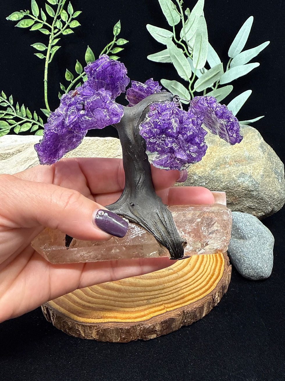 Thumbnail: Mini Clustered Amethyst Crystal Tree on Quartz Base - 1