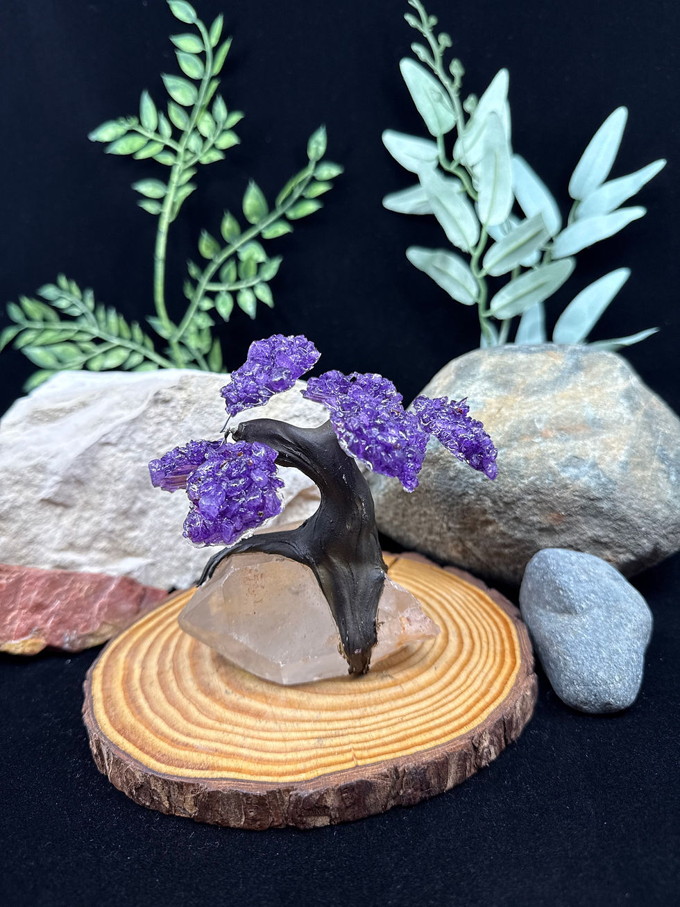 Thumbnail: Small Clustered Amethyst Crystal Tree on Quartz Base - 2