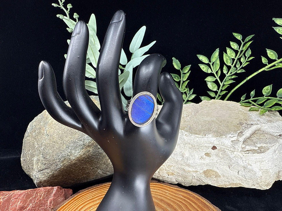 Thumbnail: Blue Morpho Butterfly Wing Sterling Silver Ring - Size 9
