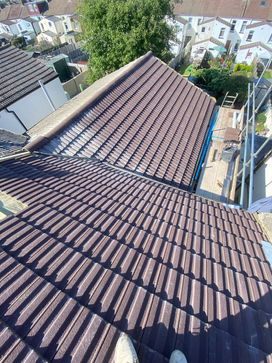 PHOTO-2022-07-13-07-27-01 4.jpg