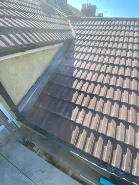 PHOTO-2022-07-13-07-27-01 3.jpg