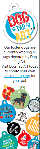 dogtagart tallgif.gif