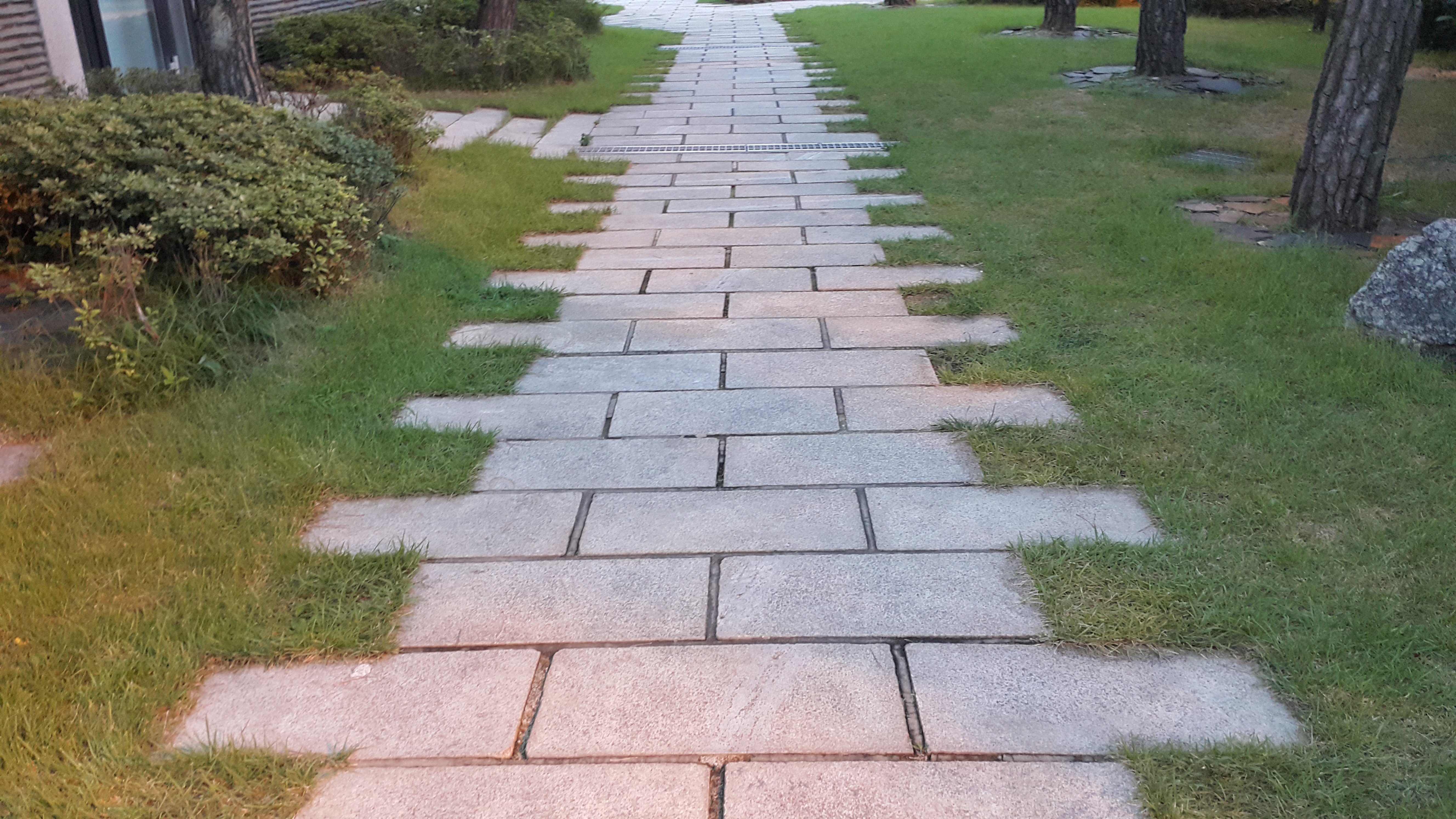 디딤석