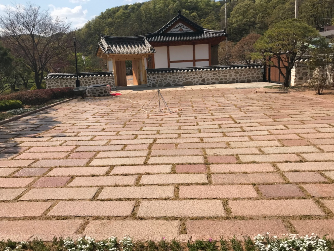 핑크 손정 디딤석