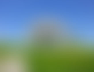 Der Frühling hat begonnen !