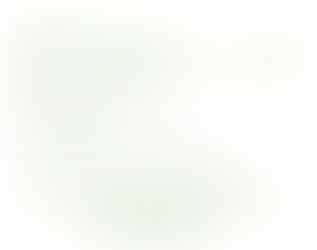 Die erste Homepage wurde erstellt