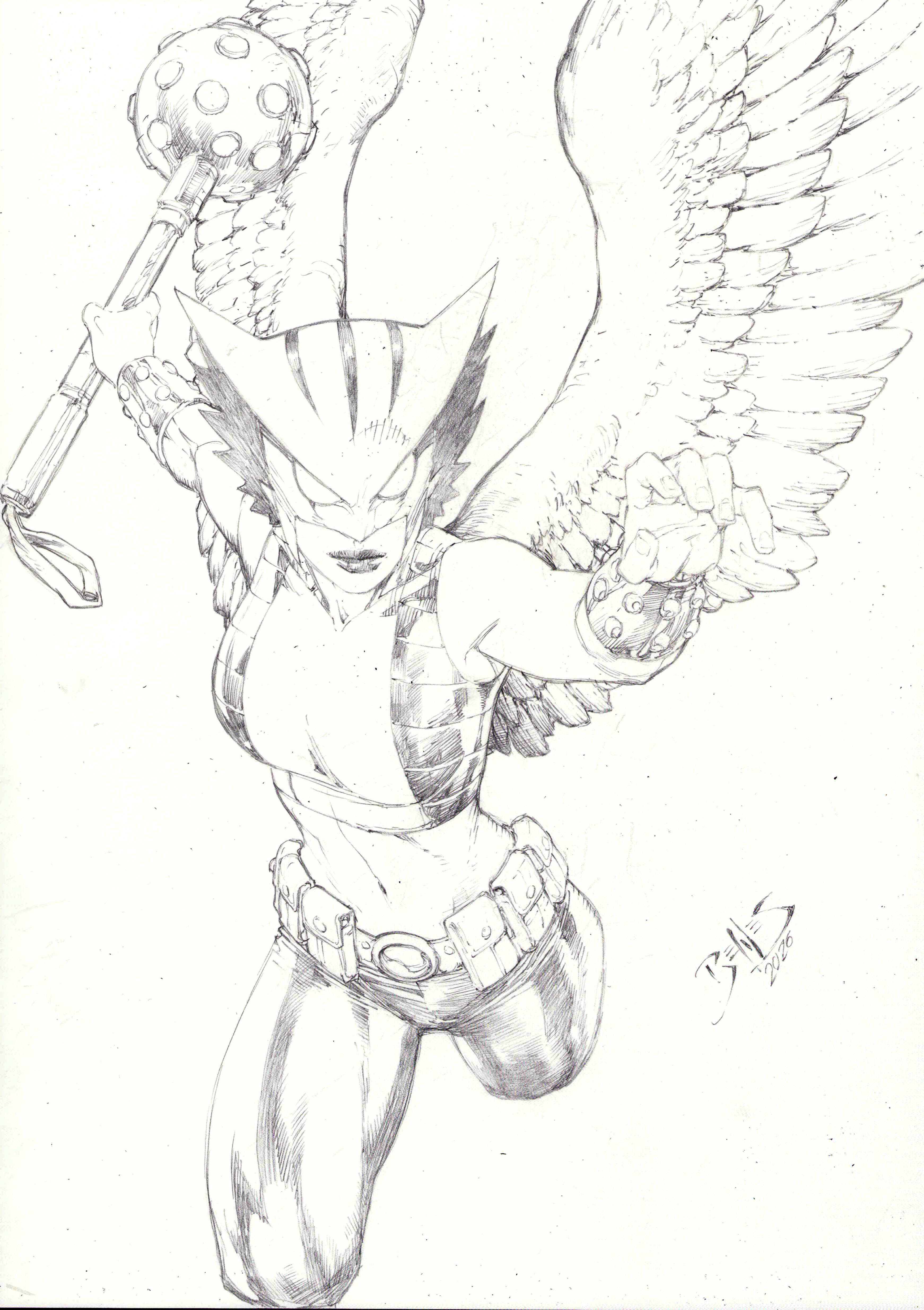 Hawkgirl - 11"x17" Pencil