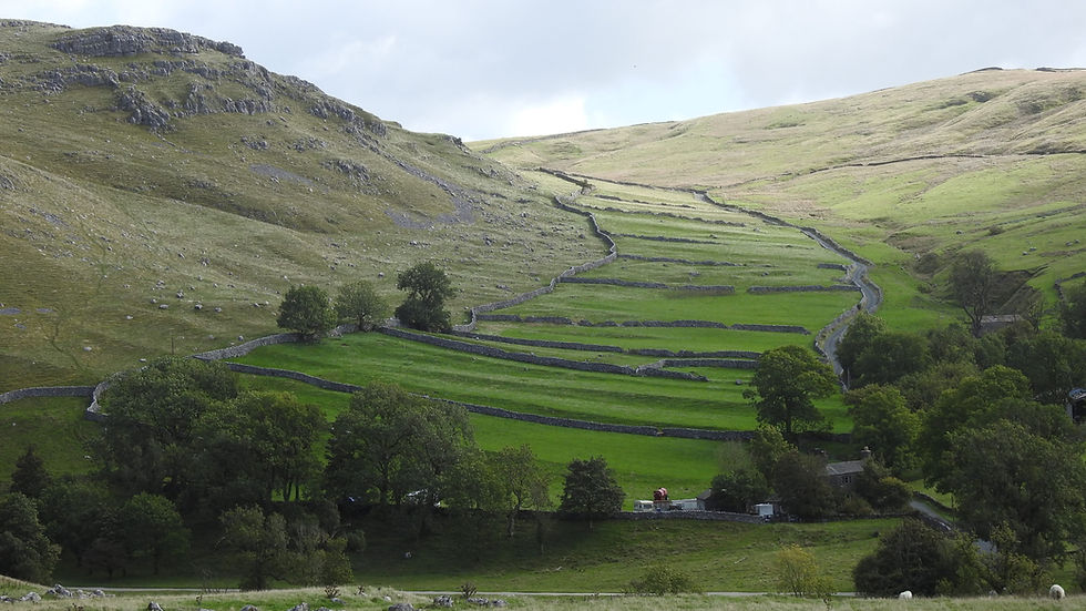 Terraced green hillside valley with dry stone walls and a winding road under a pale sky, calm rural landscape in the Yorkshire Dales.