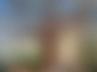 Welcome to our Blog!