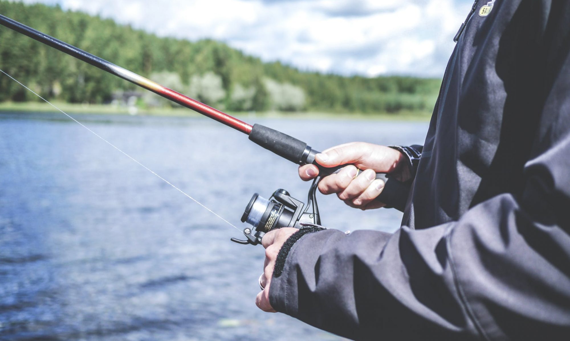 cropped-pexels-photo-2946741.jpeg