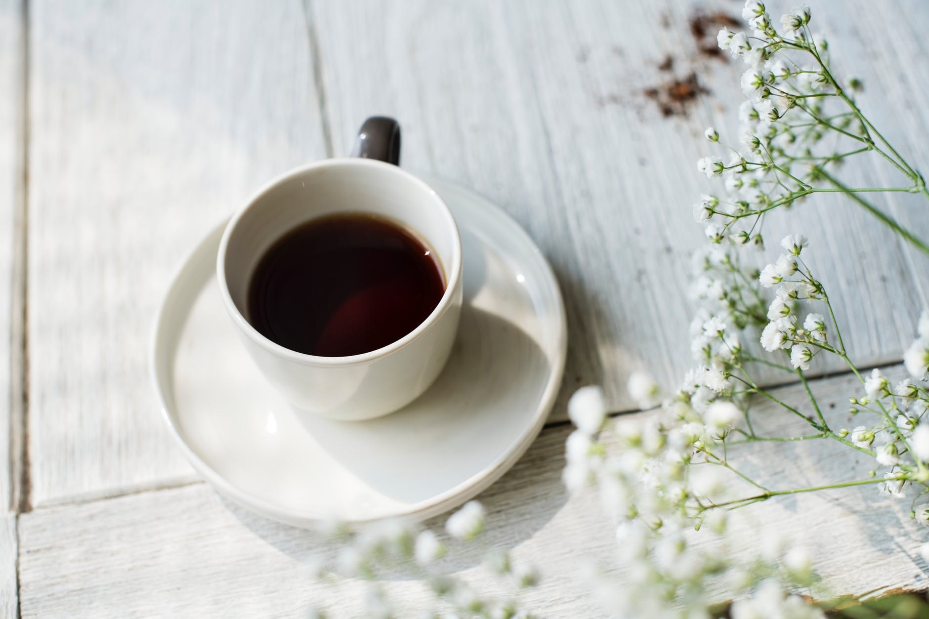 white baby s breath flowers beside white cup