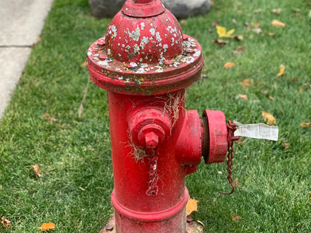 Seven ways to assess thriving in uncertainty