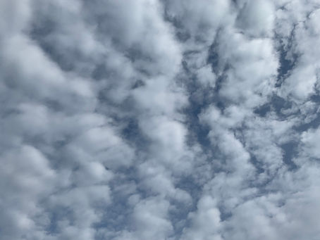 Seven things that make a great story