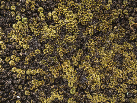 Six features of well-designed KPIs