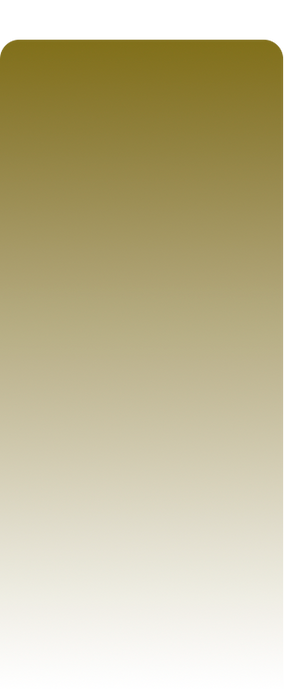 banner-mx-mindray-gti.png