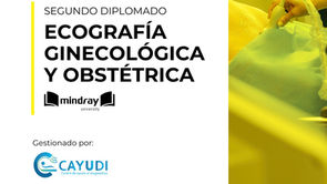 Diplomado en Ecografía Ginecológica y Obstétrica. Gratis para clientes GTI