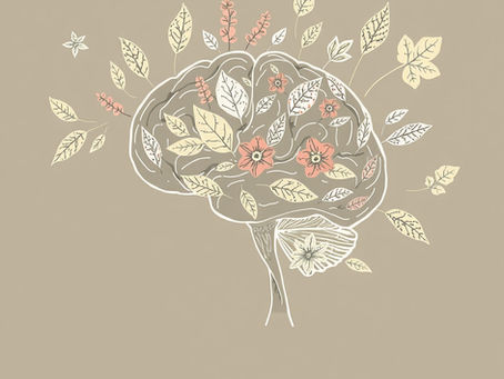 Creatine: Boost Your Brain & Your Muscles 