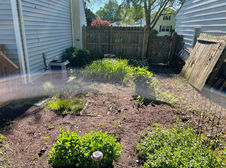 IMG_1455.jpeg