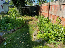IMG_1452.jpeg