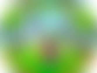 Becoming Ffyo | A Journey of Growth, Clarity, and Courage