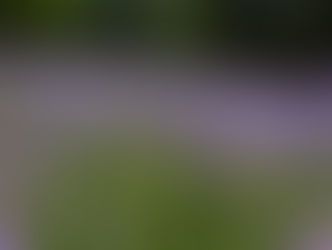 Vale a pena visitar o Le Jardin Parque de Lavanda?