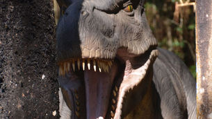 Tudo sobre o Vale dos Dinossauros em Canela