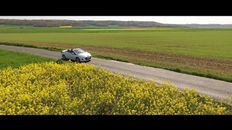 voiture champs 1.jpg