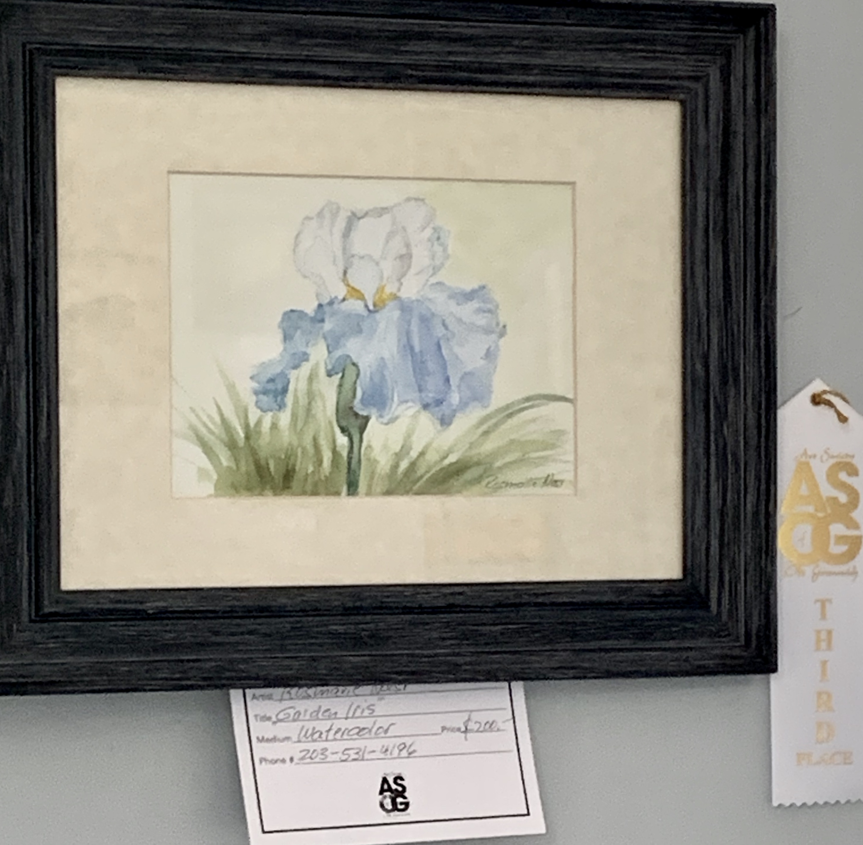 Rosmarie Nasr 3rd Watercolor Garden Iris
