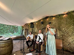 Weddingsinger liveband Press Play