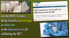 DHFL Victims in the Laboratory State of IBC: “Litmus Test”?