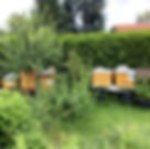 Imkerei Bienen-Völcker
