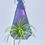 Thumbnail: Small Air Plant Holder