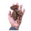 Thumbnail: hand holding large size bark nuggets