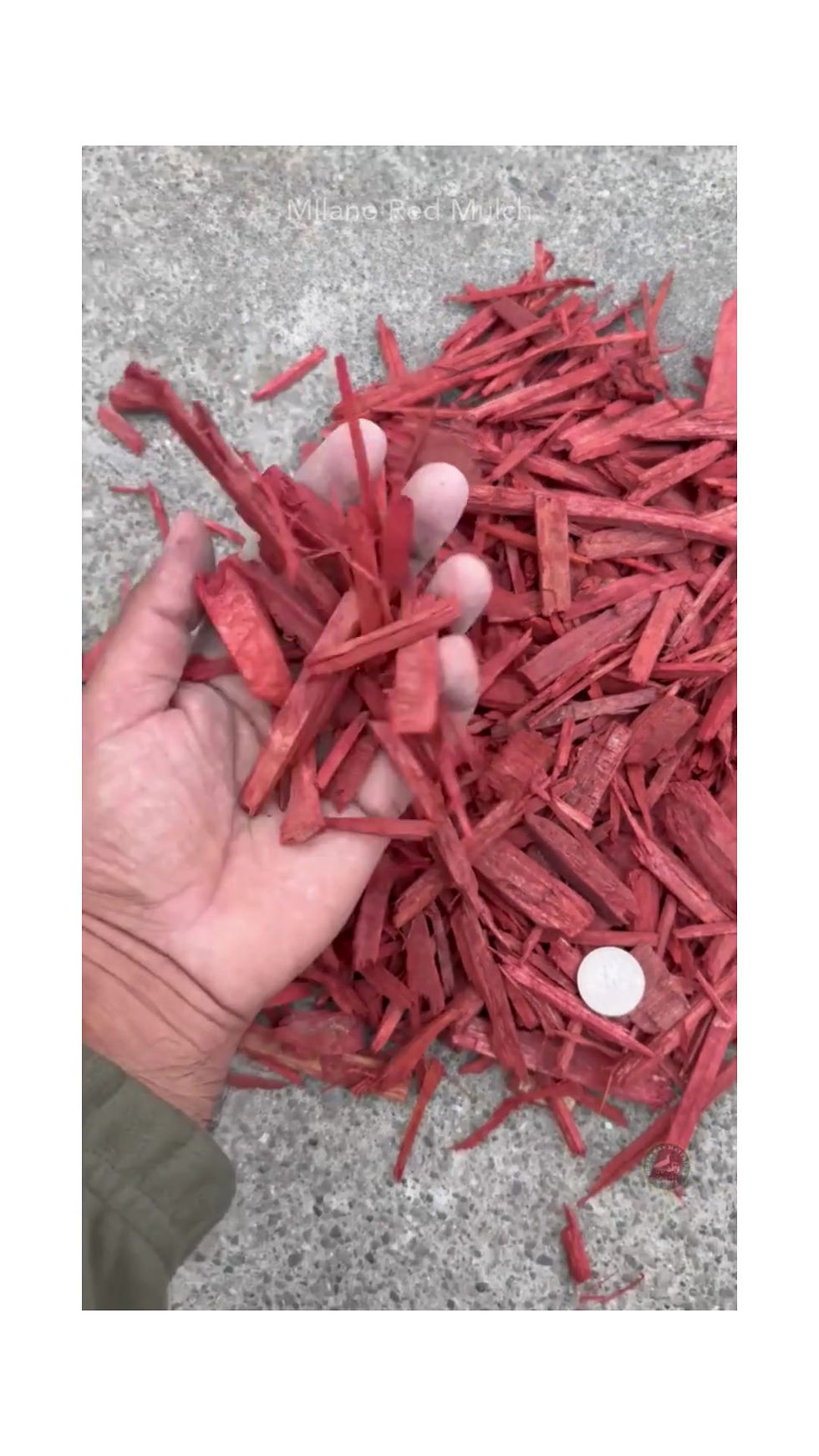 Thumbnail: video of homeowner in Solano county showing Milano Red Bark Mulch used in landscaping and gardens in Fairfield, Vacaville.
